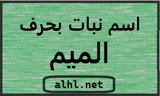 اسم نبات بحرف م: استكشاف النباتات والأعشاب المختلفة