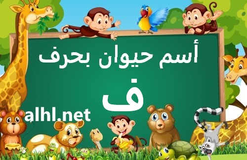 اسم حيوان بحرف و: استكشاف أسماء الحيوانات بأفكار مبتكرة